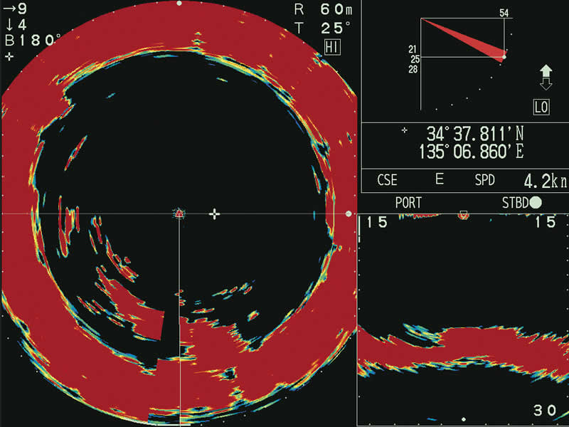 Fishing sonars